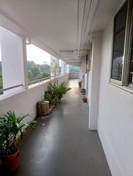 Blk 339 Clementi Avenue 5 (Clementi), HDB 3 Rooms #558402771
